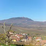 La Rodernelle - Sauna - Patio - Climatisation - Vue Sur Chateau Du Koenigsbourg * Rodern