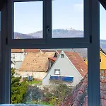 La Rodernelle - Sauna - Patio - Climatisation - Vue Sur Chateau Du Koenigsbourg Apartment Rodern
