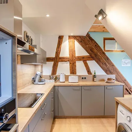 La Rodernelle - Sauna - Patio - Climatisation - Vue Sur Chateau Du Koenigsbourg Rodern