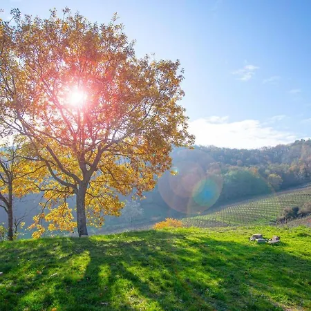 Appartamento La Rodernelle - Sauna - Patio - Climatisation - Vue Sur Chateau Du Koenigsbourg Rodern