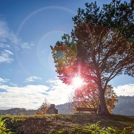 Appartamento La Rodernelle - Sauna - Patio - Climatisation - Vue Sur Chateau Du Koenigsbourg *