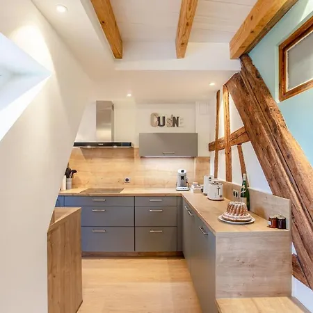 Appartamento La Rodernelle - Sauna - Patio - Climatisation - Vue Sur Chateau Du Koenigsbourg Rodern