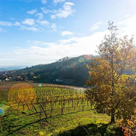Apartament La Rodernelle - Sauna - Patio - Climatisation - Vue Sur Chateau Du Koenigsbourg *