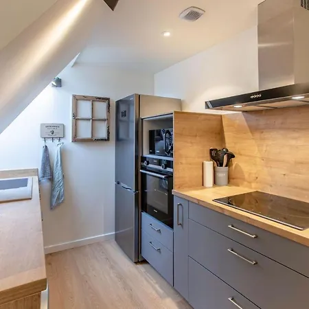 Apartment La Rodernelle - Sauna - Patio - Climatisation - Vue Sur Chateau Du Koenigsbourg