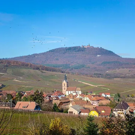 La Rodernelle - Sauna - Patio - Climatisation - Vue Sur Chateau Du Koenigsbourg Rodern