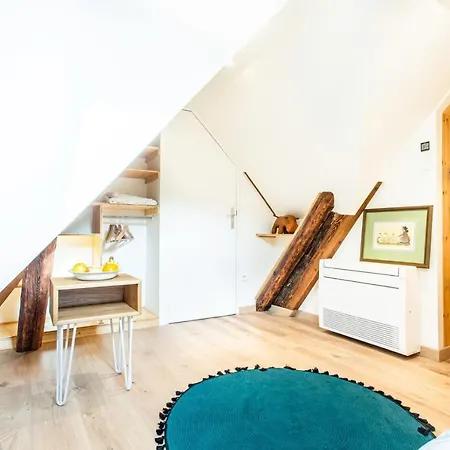 Appartamento La Rodernelle - Sauna - Patio - Climatisation - Vue Sur Chateau Du Koenigsbourg *