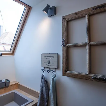Appartement La Rodernelle - Sauna - Patio - Climatisation - Vue Sur Chateau Du Koenigsbourg *