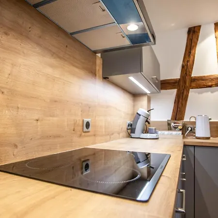 La Rodernelle - Sauna - Patio - Climatisation - Vue Sur Chateau Du Koenigsbourg * Rodern