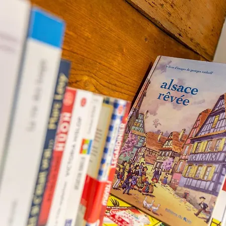 La Rodernelle - Sauna - Patio - Climatisation - Vue Sur Chateau Du Koenigsbourg Rodern