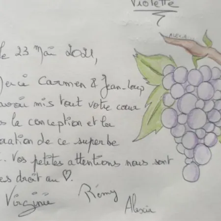 La Rodernelle - Sauna - Patio - Climatisation - Vue Sur Chateau Du Koenigsbourg *