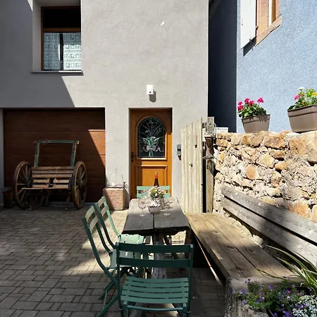 La Rodernelle - Sauna - Patio - Climatisation - Vue Sur Chateau Du Koenigsbourg * Rodern