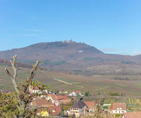 La Rodernelle - Sauna - Patio - Climatisation - Vue Sur Chateau Du Koenigsbourg * Rodern