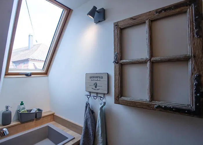 شقة La Rodernelle - Sauna - Patio - Climatisation - Vue Sur Chateau Du Koenigsbourg *